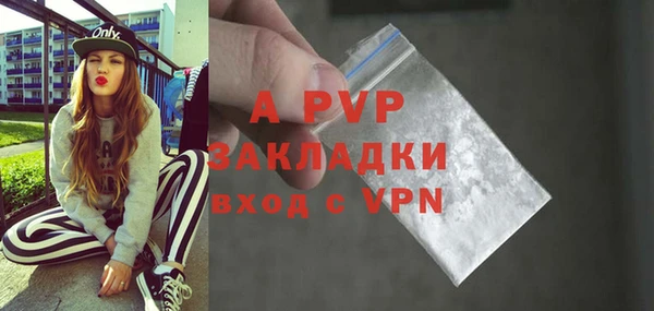 индика Алексин