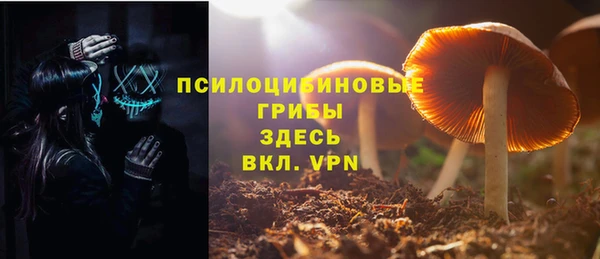 прущая мука Алзамай