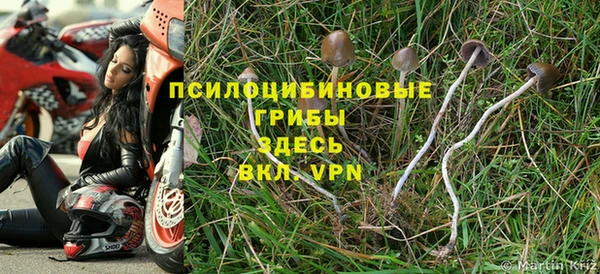 дмт Алексеевка
