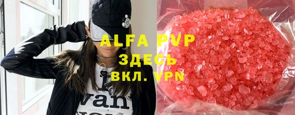 индика Алексин