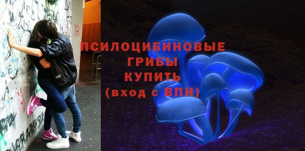 спиды Армянск