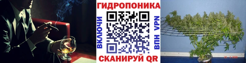 Конопля Amnesia  Красноуфимск 